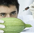 Manipulation OGM